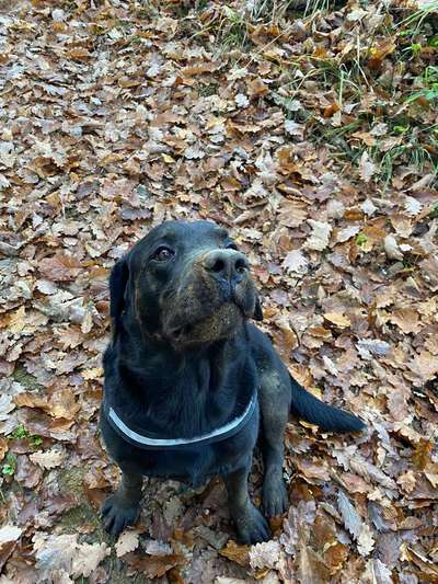 Zeigt mir doch mal eure Dreckspätze-Beitrag-Bild