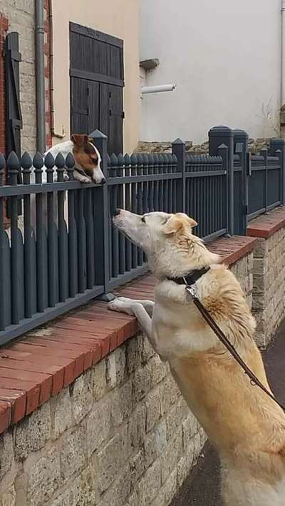 42.Fotochallenge - Eure schönen Momente beim Spaziergang-Beitrag-Bild