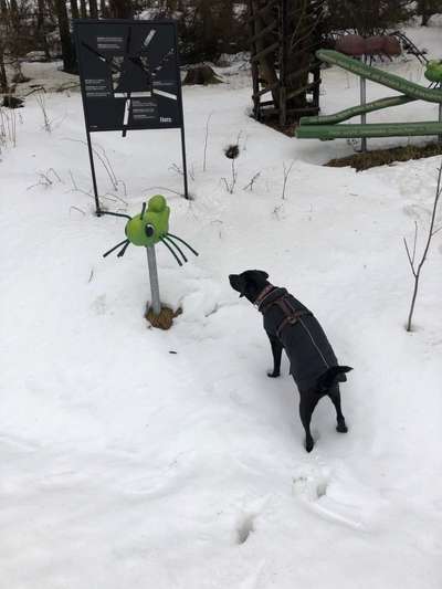 Dogorama Photo Challenge - Es wird nochmal kalt!-Beitrag-Bild