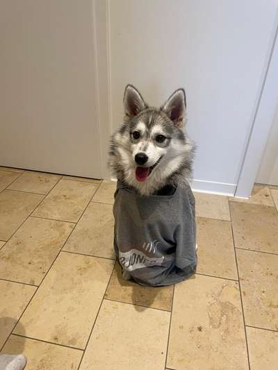 Lieblingsbild-Beitrag-Bild