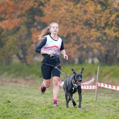 Hundetreffen-Canicross-Bild