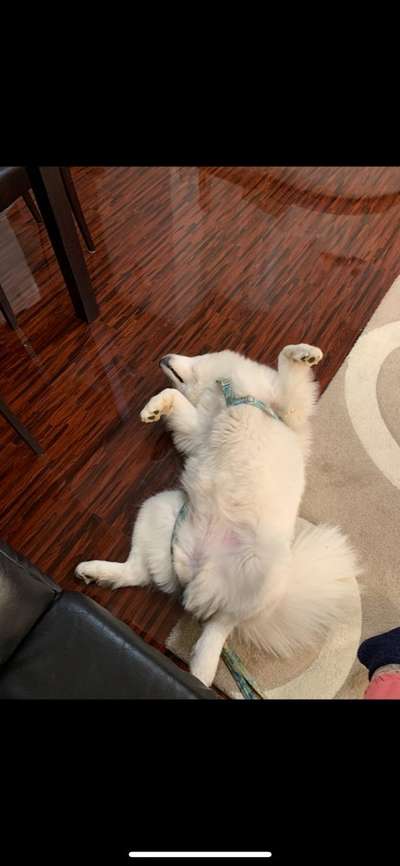 "Die eingefangene Magie des Augenblicks"-Beitrag-Bild