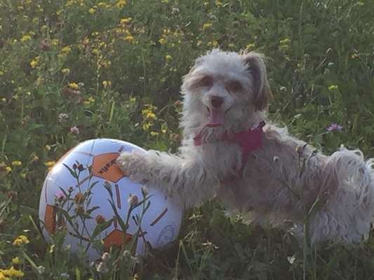 Fotochallange Nr. 57     PORTRÄT.   Beendet!!!!!!!!-Beitrag-Bild