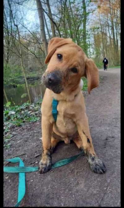 Lieblingsbild-Beitrag-Bild