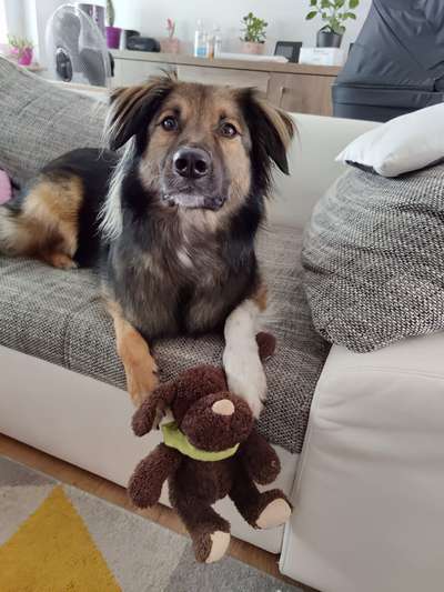 Zobel Liebe-Beitrag-Bild