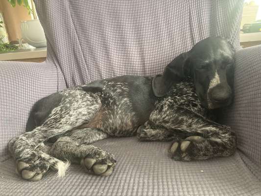 CHALLENGE NR. 34 - Liege-/Schlafpositionen-Beitrag-Bild