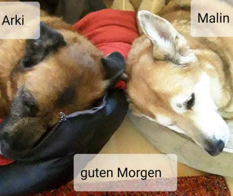 die letzten Jahre mit Malin geniessen.-Beitrag-Bild