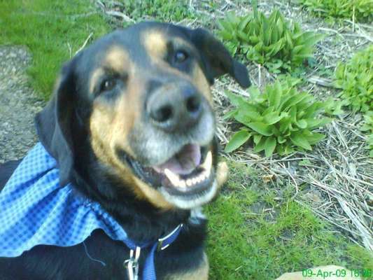 Fotochallenge Nr. 47 - Zeigt die Zähne-Beitrag-Bild