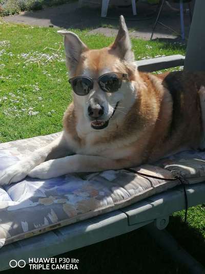 Lieblingsbild :D-Beitrag-Bild