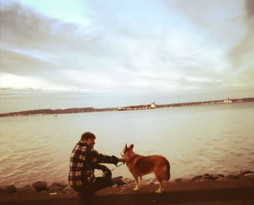 Die wunderschöne Welt mit Hund.-Beitrag-Bild