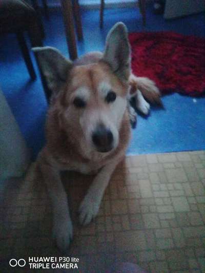 Lieblingsbild :D-Beitrag-Bild