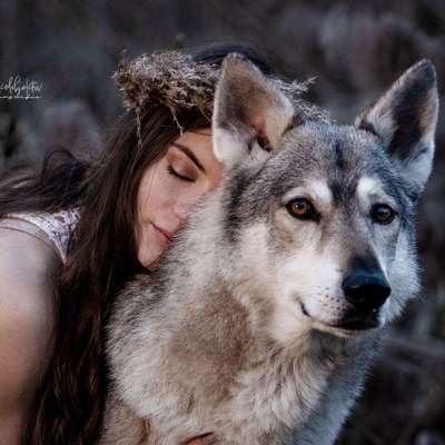 %{de_profession_title}-Fotoshooting Paket Medium-Bild