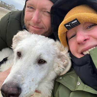 Hundetreffen-Gassi-Buddy 🐶-Bild