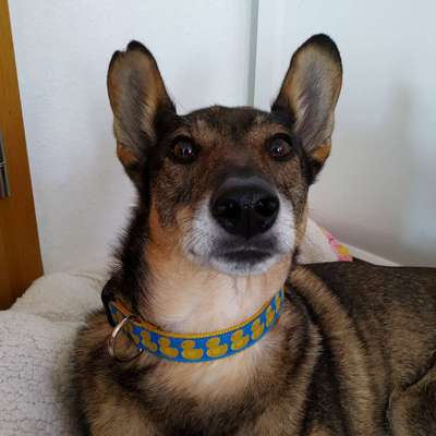 Lieblingsbild :D-Beitrag-Bild