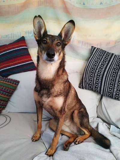 Lieblingsbild :D-Beitrag-Bild