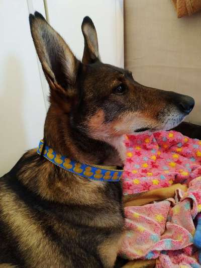 Lieblings "nervige Sprüche"-Beitrag-Bild