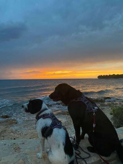 Sonnenaufgänge oder - untergänge-Beitrag-Bild