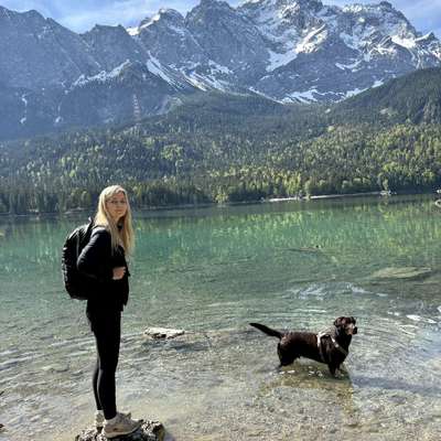 Hundetreffen-Gassirunde