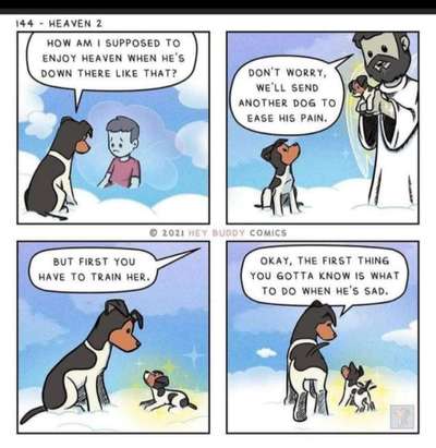 Unsere Fellnasen im Regenbogenland-Beitrag-Bild