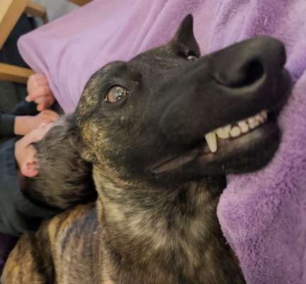 Handy-foto Challange nr. 11-Beitrag-Bild