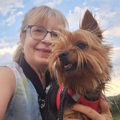 Hundetreffen-Gassi und spielen-Bild
