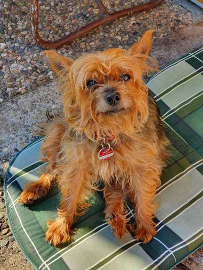 Fotochallenge Nr. 56 - geliebte Senioren-Beitrag-Bild