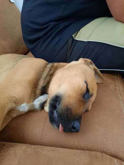 Tongue Out Tuesday-Beitrag-Bild