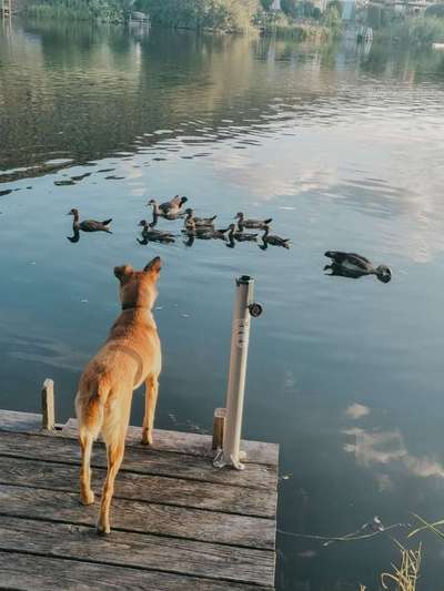 Foto Challenge - BEENDET - bitte aktuelle Challenge nutzen-Beitrag-Bild