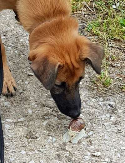 Fotochallenge No. 5-Beitrag-Bild