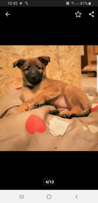 Foto Challenge 3-Beitrag-Bild