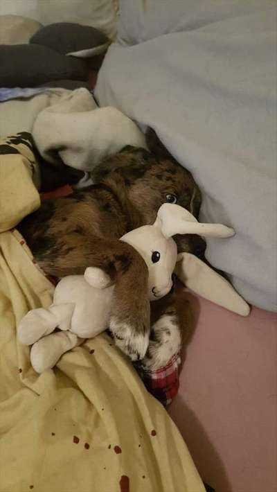 Ins Bett ja oder nein-Beitrag-Bild