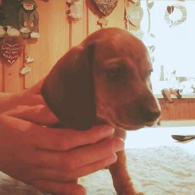 Erstes Bild-Beitrag-Bild