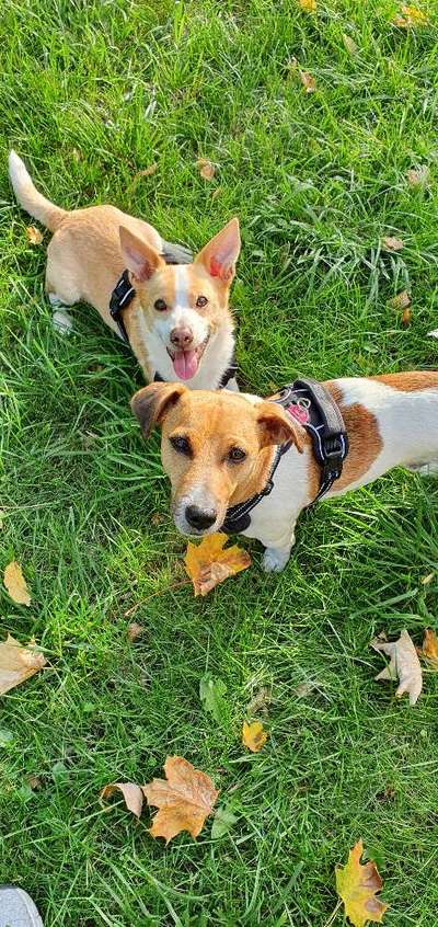 Herbst Bilder-Beitrag-Bild