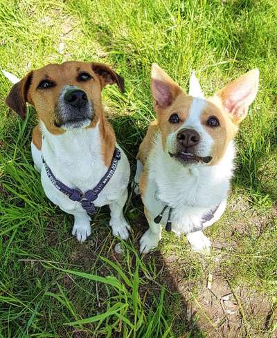 Lieblingsbild-Beitrag-Bild