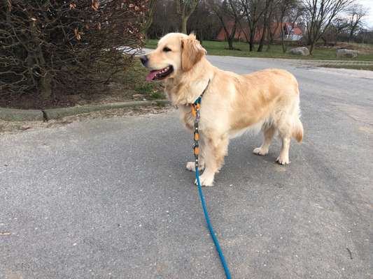 Dogorama Photo Challenge - Tierischer Urlaub-Beitrag-Bild