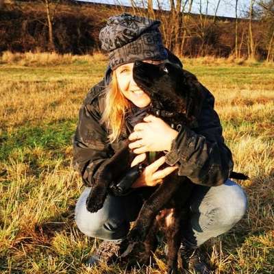 Hundetreffen-Welpentreffen