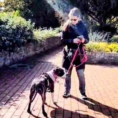 Marleen und's Profilbild