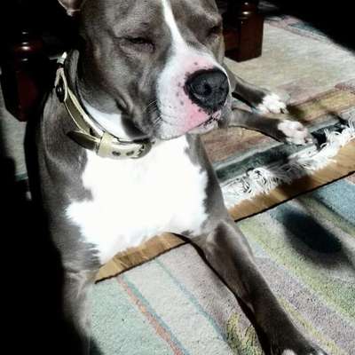 Häufige Vorurteile-Beitrag-Bild