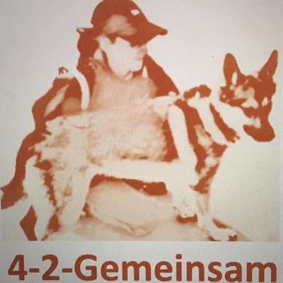 Hundeschulen-4-2-Gemeinsam Hundeschule-Bild