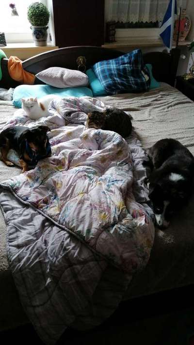 Gemeinsames Kuscheln im Bett!-Beitrag-Bild