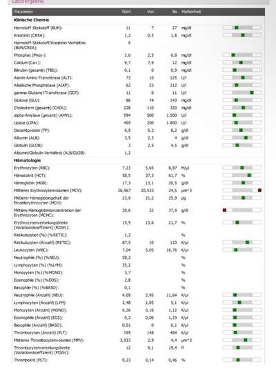 Blutbild-Beitrag-Bild