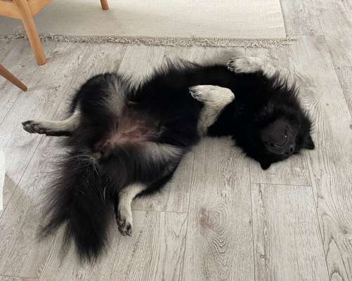 FOTO-Challenge  NR. 91: Die pure Entspannung-Beitrag-Bild