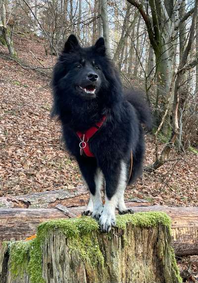 Foto Challenge Nr. 79-Beitrag-Bild