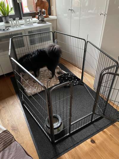 Nächtliches Spielen-Beitrag-Bild