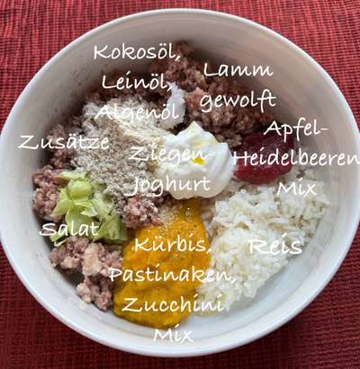 Zeigt her Eure Futternäpfe-Beitrag-Bild