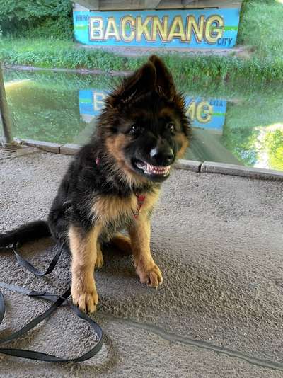 Handy-foto Challange nr. 11-Beitrag-Bild