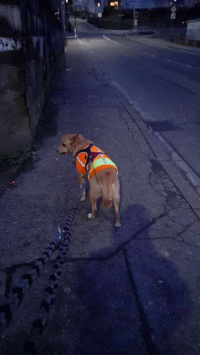 Dunkle Jahreszeit, Sichtbar machen-Beitrag-Bild