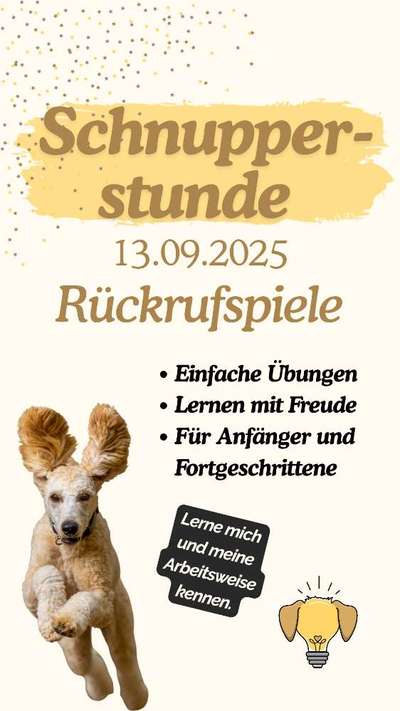 %{de_profession_title}-Schnupperstunde-Bild