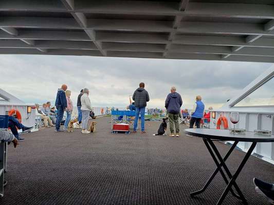 Kreuzfahrt mit Hund-Beitrag-Bild