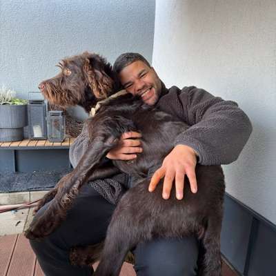 Hundetreffen-DOGGO WALKI MIT SPIELEN IN KASSEL-Bild